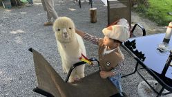 -DORA kids 朵拉儿童摄影花园店