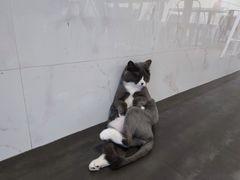-乐果甜心·潮汕冰室(南澳后宅分店)