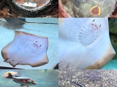 -珠海长隆海洋王国