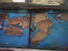 -小铜锣湾海鲜家常菜馆(河西店)