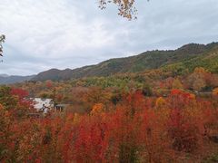 -塔川景区