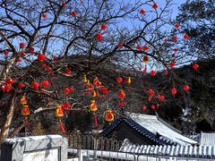 -潭柘寺景区