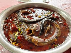 -盘龙黄鳝(盘龙居店)