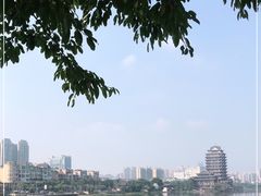 -眉山湿地公园(东坡区)