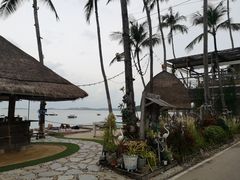 -Coco Tam’s