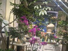 -弗劳尔花艺坊(龙涛店)