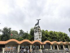 -成都动物园