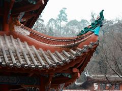 -黔灵山公园