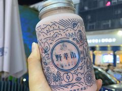 -野萃山·潮汕厚果汁(十亩地店)