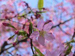 -时光花园(白鹭洲店)
