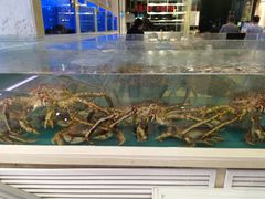 -潮粤香海鲜酒楼(沙湖店)