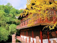 -棠湖公园
