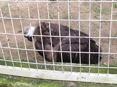 -秦皇岛野生动物园