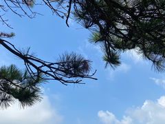 -庐山风景区花径公园