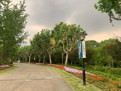 -黄兴公园