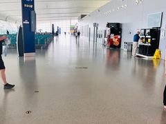 -合肥新桥国际机场-航站楼