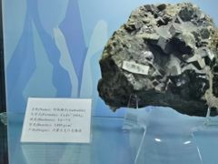 -中国第四纪冰川遗迹陈列馆