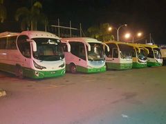 中国旅游团-伍月花酒楼