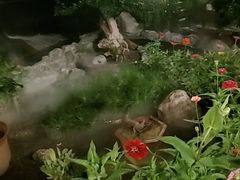 -蘇河湾·新鲁菜·泰山宴(泰山店)