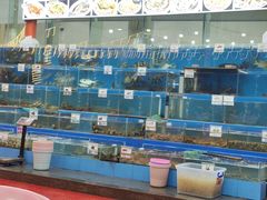 -秋姐美食店(旅游大道店)