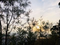 -仓山金山寺