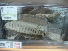 楼上4-楼上(尖沙咀店)