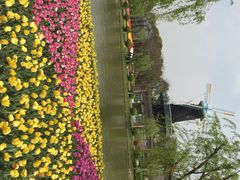 上海鲜花港-上海鲜花港