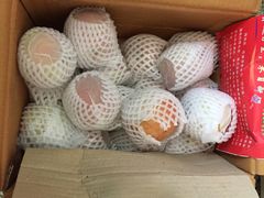 -菜园坝水果市场
