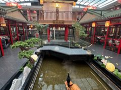 -老山东·山东菜(鲁菜名店)