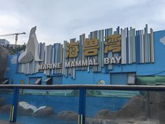 -海合安成都极地海洋公园
