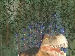 -多彩贵州城极地海洋世界