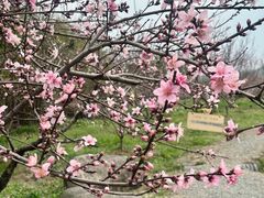 -白塔湖国家湿地公园