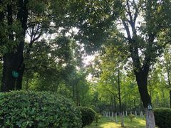 -洪湖生态旅游区