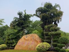 -四望岗公园