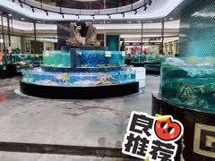 水产区-寻味顺德·顺峰山庄(大良店)