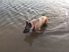 -永定河休闲森林公园