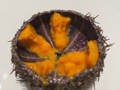 -海鼎荟海鲜姿造(泉州仟禧店)