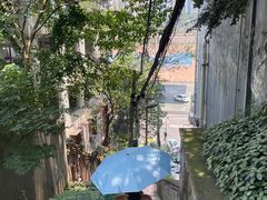 -李子坝梁山鸡(李子坝大鸡哥店)