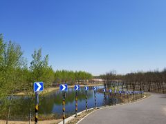 -东郊湿地公园
