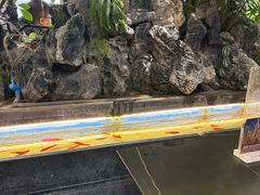 -汉九宫牛肉面·清真(兰州市自来水总公司住宅楼店)