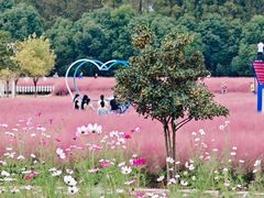 -嘉北郊野公园