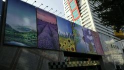 -丝情发艺 I SALON