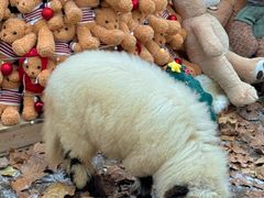 -HERRE·FARM 赫尔露营农场·团建聚会包场