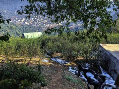 -东山风景区(洞庭东山)
