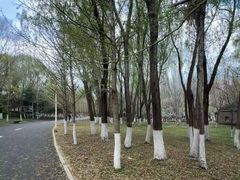 -长白岛森林公园