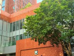 -香港大学