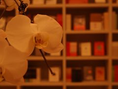 -二酉书店TOYOU BOOKS