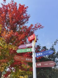 -优沃得自然教育农场·冰雪乐园·生日会·研学