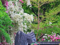 -深圳国际园林花卉博览园