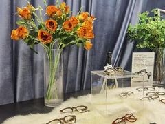 -大视光学•LINDBERG林德伯格•全球手工眼镜集合店(王府井店)